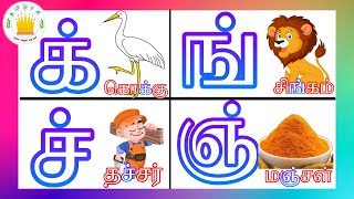 தமிழரசி-மெய் எழுத்துக்கள்| mei eluthukkal in Tamil for kids|Tamilarasi screenshot 5