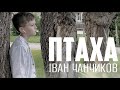 Іван Чанчиков - Птаха (Антитіла cover - 2022)