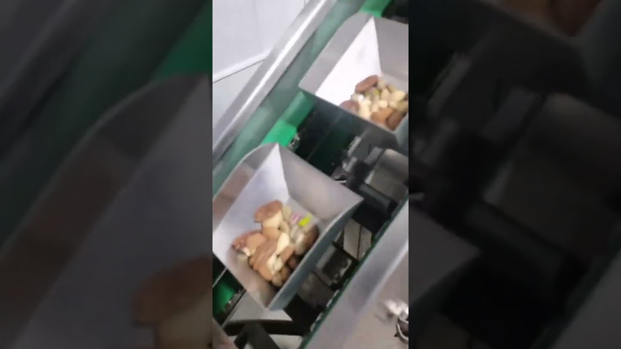 Mixed Nut Packaging Machine