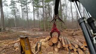 Sorting Pine Logs. 29 DEC 2016.