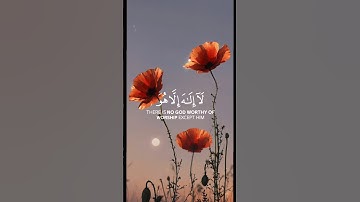 ارح سمعك و قلبك 🤍 قرآن كريم 🤍 اكتب شيئا تؤجر عليه 🤍