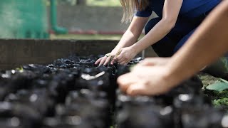 Cargill's 2025 Impact in Action