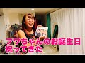 【2020】フワちゃんのお誕生日を祝ってきた【おこたしゃべり】