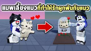 แมพเลี้ยงแมวที่ดูสมจริง😸จนทำให้รักแมวมากขึ้น | Roblox Care for Cats screenshot 4