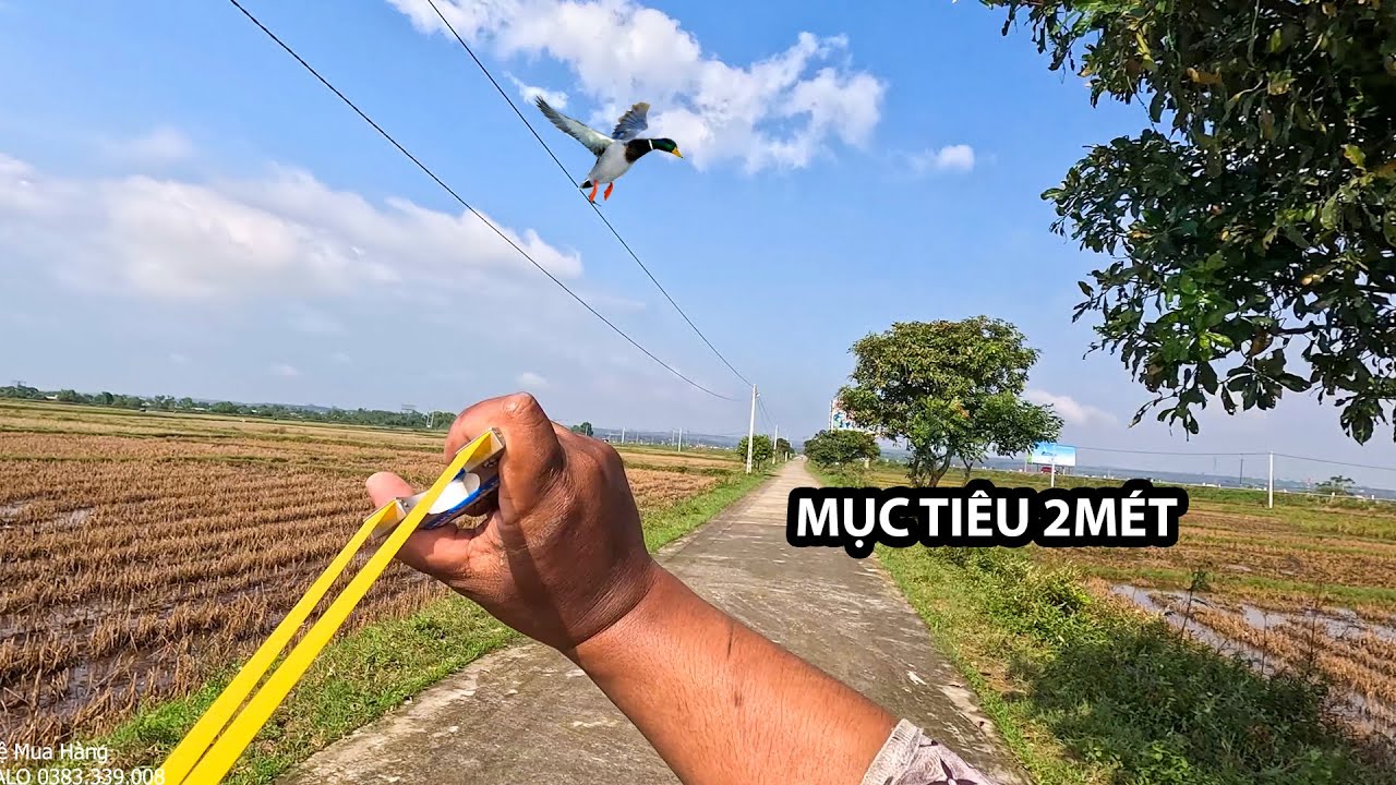 ĐI SĂN BẰNG NÁ CAO SU Tập 163 | Shoot the flying trigger with a slingshot