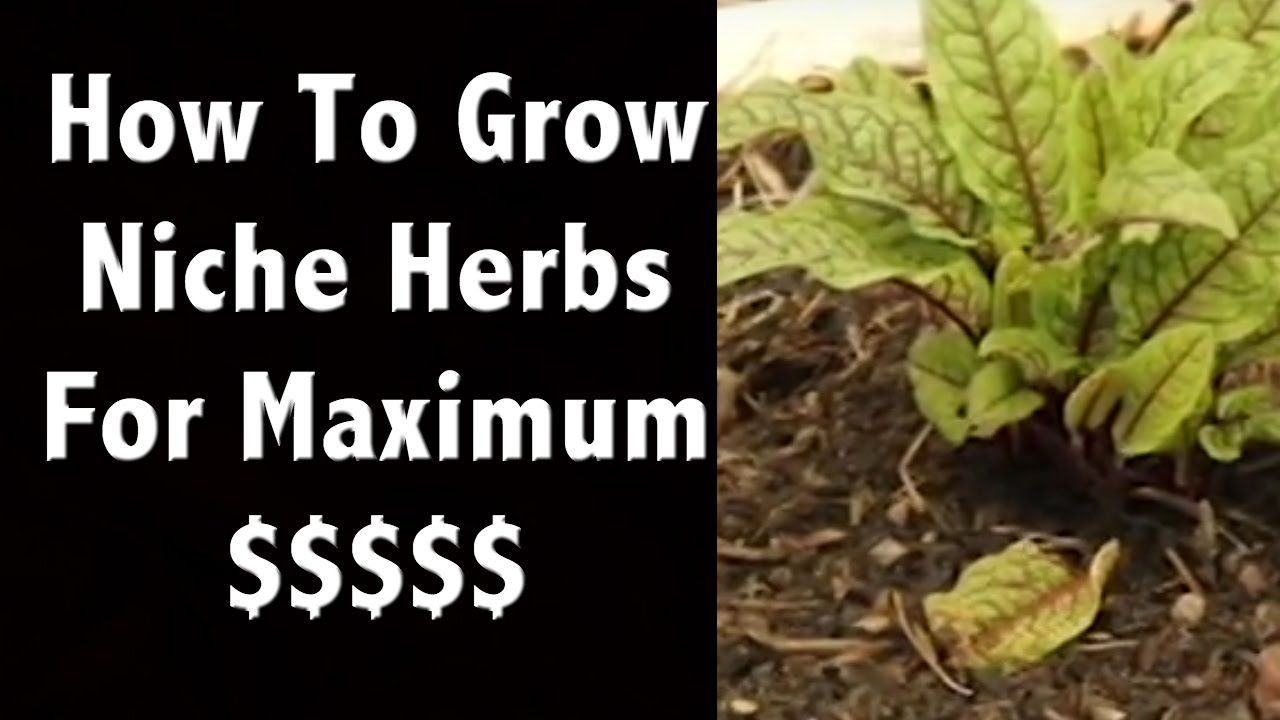 how to make money farming herbs