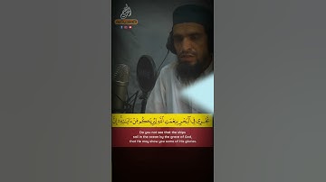 تلاوة هادئة تريح الأعصاب #القرآن_الكريم #تلاوة_خاشعة #تلاوة_مميزة #تلاوة_هادئة