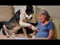 Dogs Are Grandparent's Daily Dose Of Happiness ❤️