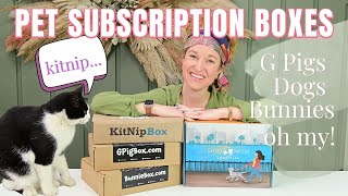 Best Pet Subscription Boxes 2023 + 4 Pet Giveaways | Cat Box, Dog Box, Bunny Box & More!