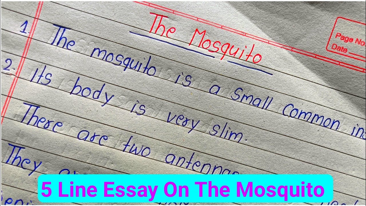 5 Line Essay On Mosquito In English | The Mosquito Par Essay writting | Essay On Mosquito In English