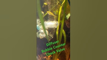 Thumbnail of Ista 3 in 1 CO2 Diffuser in action! #aquarium #plantedtank #plantedaquarium