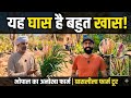 ​यह घास है बहुत खास Bhopal’s Unique Grassleela Farm Tour | desi Grass Farming in India