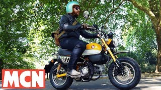 Honda Monkey Bike | First Ride | Motorcyclenews.com