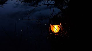 Night Sounds for Sleeping | Frogs Calling Each Other, Crickets in Autumn | Ambient Nature