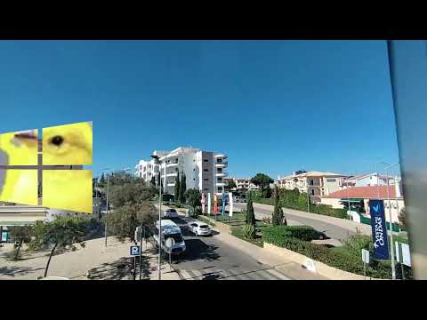 The Canary Idents Canary TV 1 Series 1 Episode 5 Road Sun