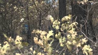 Tour of the burnt-out Waldo Canyon Fire area