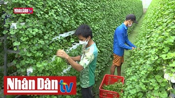 Nâng cao chất lượng nhân lực trong sản xuất nông nghiệp