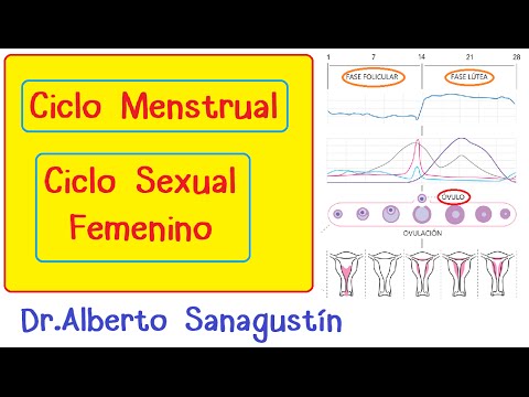 Ciclo menstrual y ovulacion