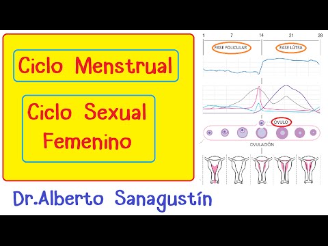 Ciclo Menstrual-Ciclo Sexual Femenino: hormonal, ovárico y uterino