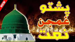 پشتو نعت – ښکلی – پښتو نعتونه – pashto naat – پشتو نعتونہ new naat – pashto new naat sharif 2021