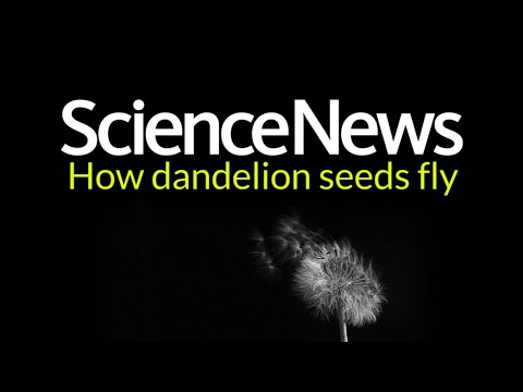 Science News