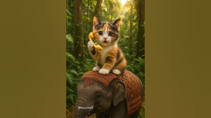 OMG 😱 She is too cute. Hello, Papa! #shorts #short #cute #cat #viralcats #talkingcat