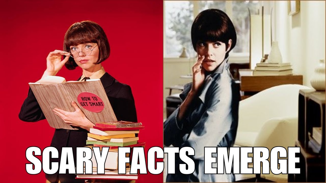 At 90, Barbara Feldon Reveals the Pain Behind Her Lonely Life.