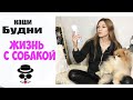 ДЕЛАЕМ ИСКУССТВЕННЫЙ СНЕГ | Жизнь с Собакой