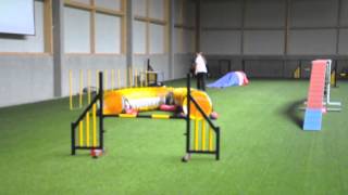 Agilityseminar Mit Lee Gibson 11.3.2012 - 13.3.2012