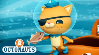 @Octonauts - 🐟 Trigger Fish Happy 🤗 | Season 2 | Best Bits!