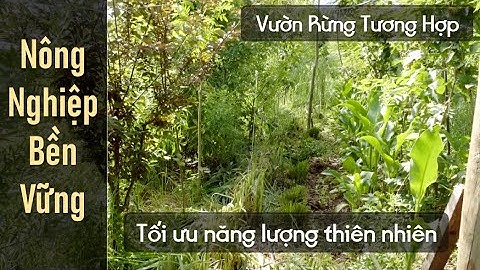 Chi tiết về mô hình Vườn Rừng Tương Hợp năng lượng