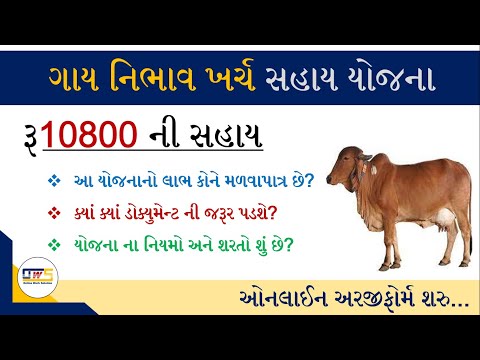 Gay Adharit Kheti | Gay Nibhav Kharch Sahay Yojana | રૂ. 10800 ની મળશે સહાય