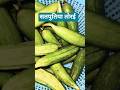 सतपुतिया तोरई #recipe #youtubeshorts #satputiya #viralvideo #trendingrecipe