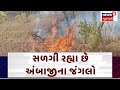 Ambaji News: સળગી રહ્યા છે અંબાજીના જંગલો | Forest | Fire | Danta | MDC | News18