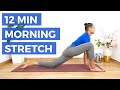 12 minutes morning stretch  full body yoga  bodsphere