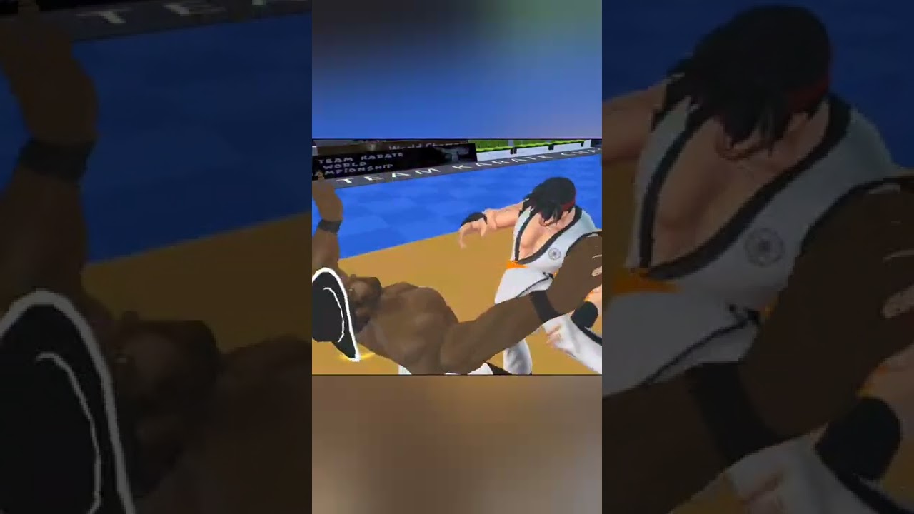 Tag Team Karate Fighting action game