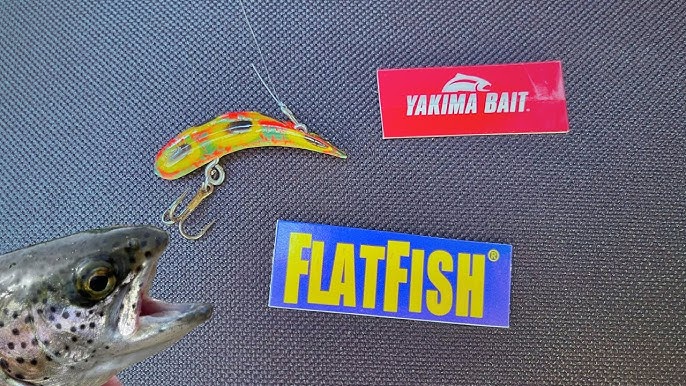 My Top 5 FlatFish Colors for big Trout 