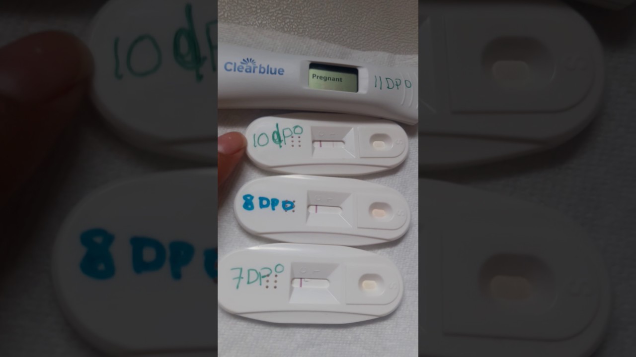 6 semanas de embarazo y test negativo