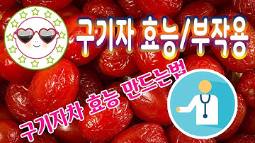 구기자 효능 구기자부작용 구기자차 효능 만드는법