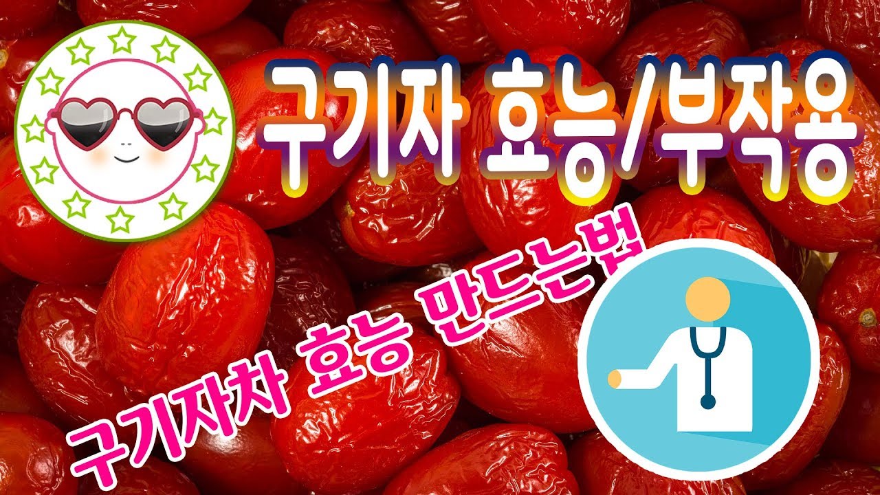 고지베리 효능, 고지베리 먹는법, 고지베리차 효능, 부작용 12