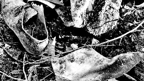 Jean Shepard on the 1963 plane crash that killed h...