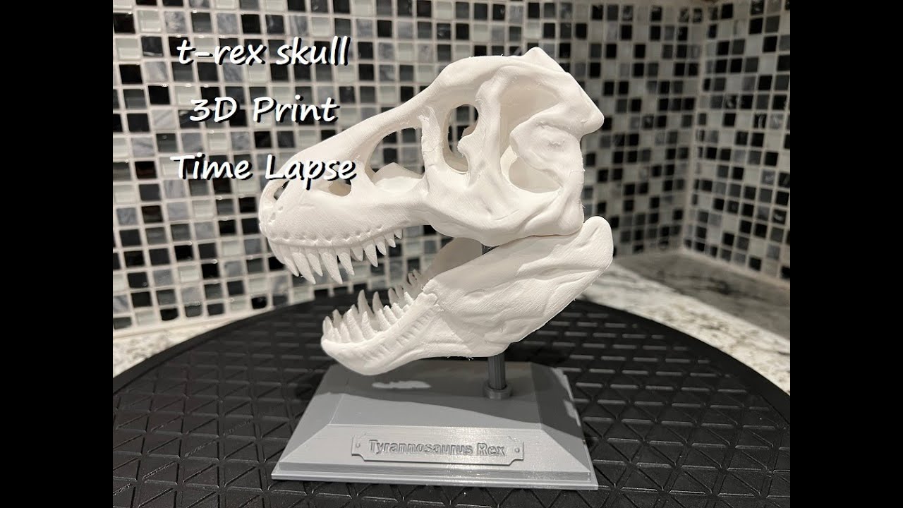 t rex skull 3d print time lapse - YouTube