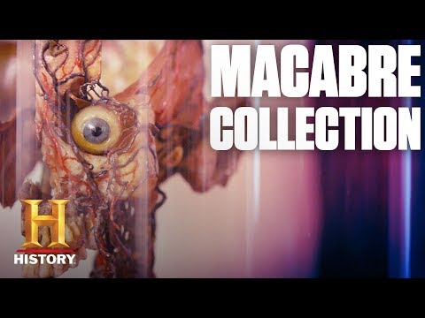 Video: Museum of Medical Oddities, Taxidermy and Anatomy