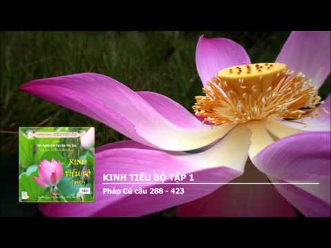 Video Kinh Tiểu Bộ tập 1 - Pháp Cú câu 288 - 423 - youtube