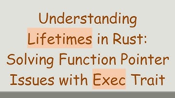 Understanding Lifetimes in Rust: Solving Function Pointer Issues with Exec Trait