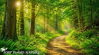 Healing Music for Inner Peace 🌿Calming Music to Reduce Anxiety, Help Deep Sleep & Stop Overthinking screenshot 5