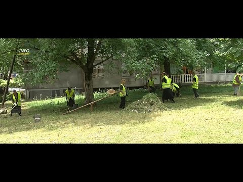 რუსთაველის ქუჩაზე ხეები გადაიბელა და სკვერი დასუფთავდა