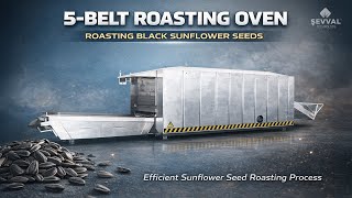 Black Sunflower Seeds Roasting 5 - Belt Roasting Oven
