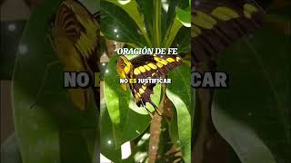 Buenos días bendiciones oración de la mañana #buenosdias #los5minutosdelespiritusanto #oracion 🙏🏻