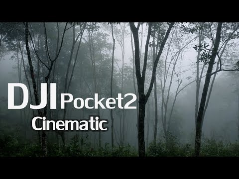 DJIPocket2Cinematic1080HD ยามาฮ่ายกพลร่วมเชียร์ทัพนักแข่งยามาฮ่า สู้ศึกในรายการแข่งขันโมโต จีพี 2023